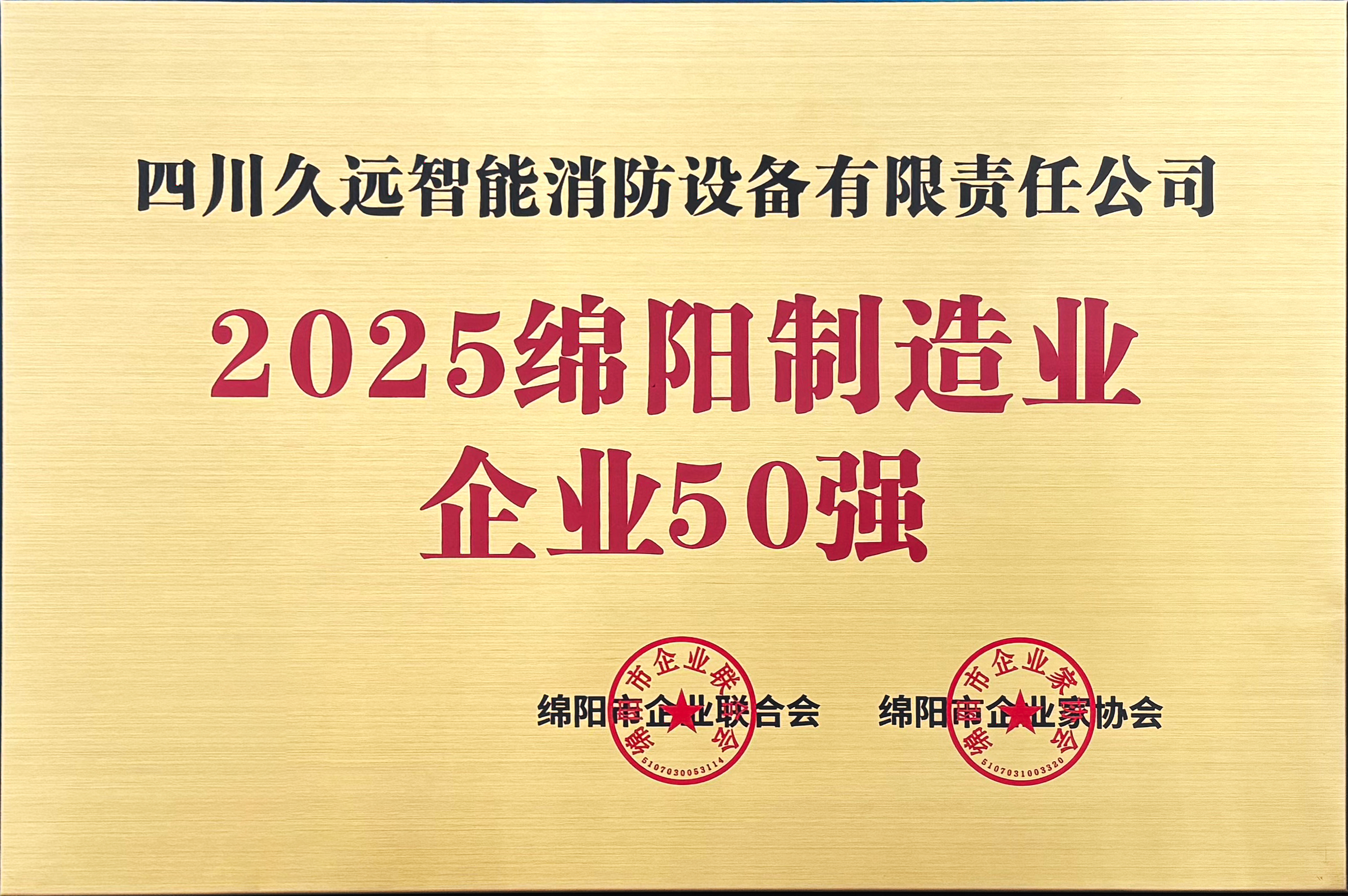 2025年綿陽市制造業企業50強